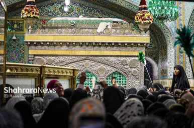 گزارش تصویری | حال و هوای حرم مطهر رضوی در شب میلاد پیامبر اکرم