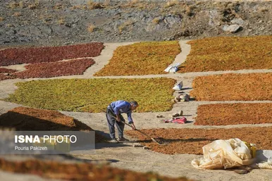ایران زیباست | دره «جوزان»