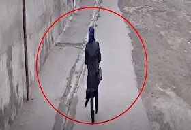 تصاویری هولناک از حمله گرگ گرسنه به خانم معلم خلخالی + فیلم
