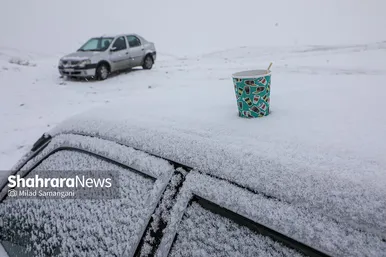 یک روز برفی در مشهد
