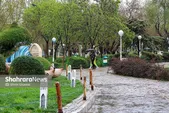 پیش‌بینی هواشناسی امروز (چهارشنبه، ۲۱ مرداد ۱۴۰۵) | رگبار و رعدوبرق در شمال کشور