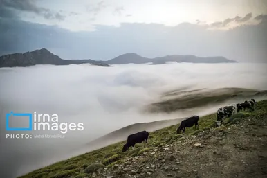 ایران زیباست | ییلاق در کوهستان
