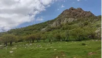 ویدئو| بهار بکر و دل انگیز هورامان