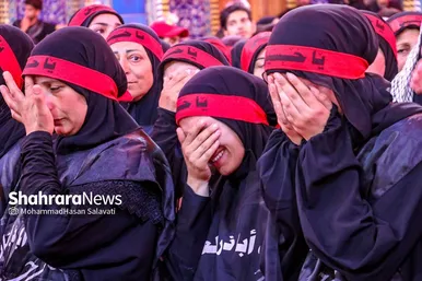 اربعین حسینی در کربلای معلی