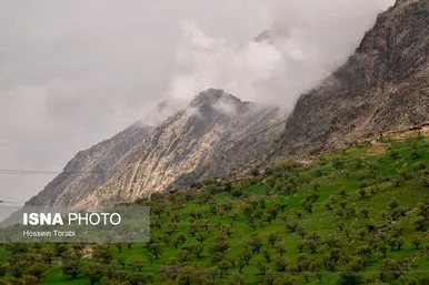 ایران زیباست | طبیعت بهاری چهارمحال و بختیاری