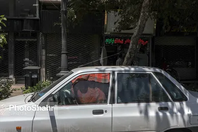 گرمای هوا در مشهد