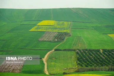 ایران زیباست | طبیعت بهاری روستاهای اطراف ساری
