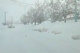 بارش ۱۸۹ سانتی&zwnj;متری برف در کوهرنگِ چهارمحال&zwnj;وبختیاری + فیلم