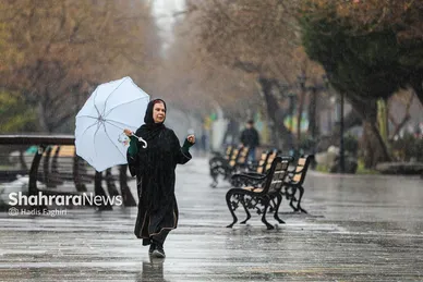 گزارش تصویری | حال و هوای بارانی مشهد | یکشنبه ۱۹ اسفند ۱۴۰۳