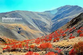 گردشگری روستای خانیک این روز&zwnj;ها سماق می &zwnj;مکد