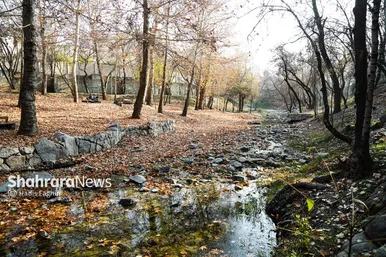 عکس‌هایی از طبیعت پاییزی بوستان وکیل آباد مشهد