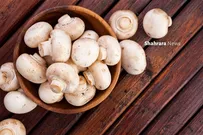 دانستنی‌هایی برای کودکان | «قارچ» و «بامیه»؛ دو خوراکی پرفایده