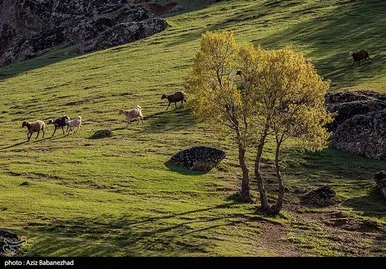ایران زیباست | طبییعت بهاری منطقه کوهستانی هفت حوض - خرم آباد