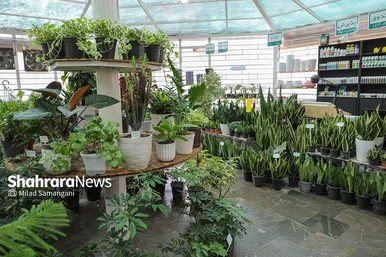 بهره برداری از مرکز مشاوره و امداد گل و گیاه در پارک نیلوفر آبی