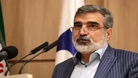 کمالوندی از موضع‌گیری احساسی مدیر کل آژانس بین المللی انرژی اتمی انتقاد کرد