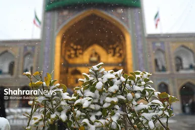 گزارش تصویری | یک روز برفی در حرم مطهر امام رضا(ع) - ۲۱ بهمن ۱۴۰۳