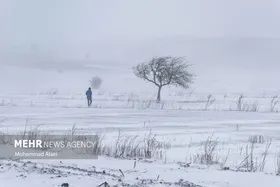 برف در رامیان