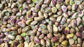 راه&zwnj;اندازی بورس پسته در مه&zwnj;ولات