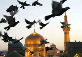 گفتگو با حجت الاسلام امیرعلی حسنلو درباره ویژگی&zwnj;های امام رضا (ع)