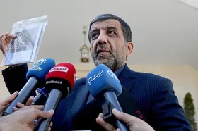 ضرغامی در واکنش به بدقولی ترکیه برای تامین اتوبوس زائران اربعین: هنوز موضوع را پیگیری نکرده&zwnj;ام
