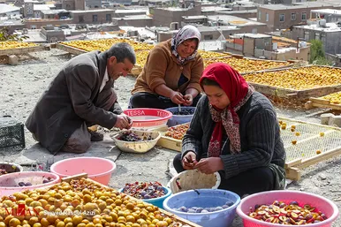 بام‌های طلایی خرو