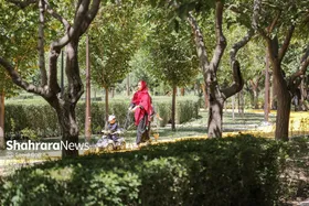 پیش&zwnj;بینی هواشناسی مشهد و خراسان رضوی امروز (دوشنبه، ۱۰ شهریور ۱۴۰۴) | مشهد آخر هفته گرم می&zwnj;شود