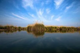 سازمان محیط زیست در حال پیگیری تأمین حق تالاب&zwnj;های کشور