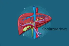 اینفوگرافی | قاتلان اصلی کبد را بشناسید