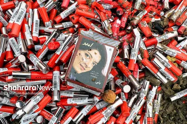 امحاء کالاهای معدومی سازمان اموال تملیکی‎‎