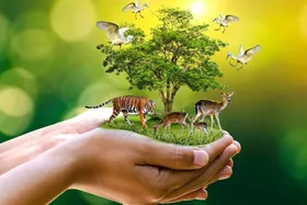 تدوین طرح جامع و ملی مدیریت قاچاق حیات وحش در کشور (۲۹ تیر ۱۴۰۴)
