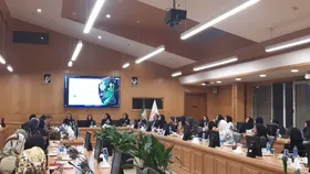 نقش مؤثر زنان در توسعه همکاری&zwnj;های اقتصادی با محوریت میراث فرهنگی ناملموس
