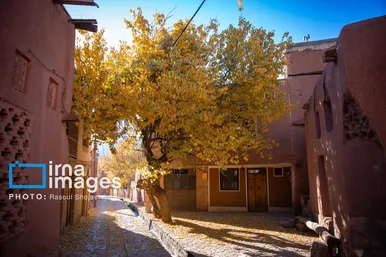 ایران زیباست | پائیز در ابیانه