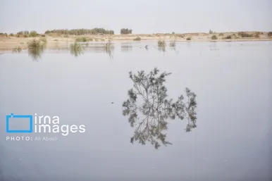 گزارش تصویری | ورود آب به سیستان پس از سال‌ها خشکسالی