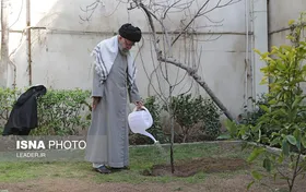 گزارش تصویری کاشت سه اصله نهال میوه توسط مقام معظم رهبری