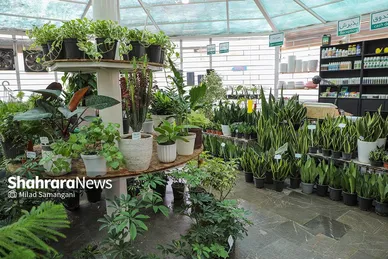 بهره برداری از مرکز مشاوره و امداد گل و گیاه در پارک نیلوفر آبی