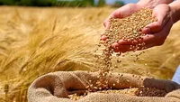 مجموع پرداختی به گندم‌کاران به ۱۱۲ همت رسید