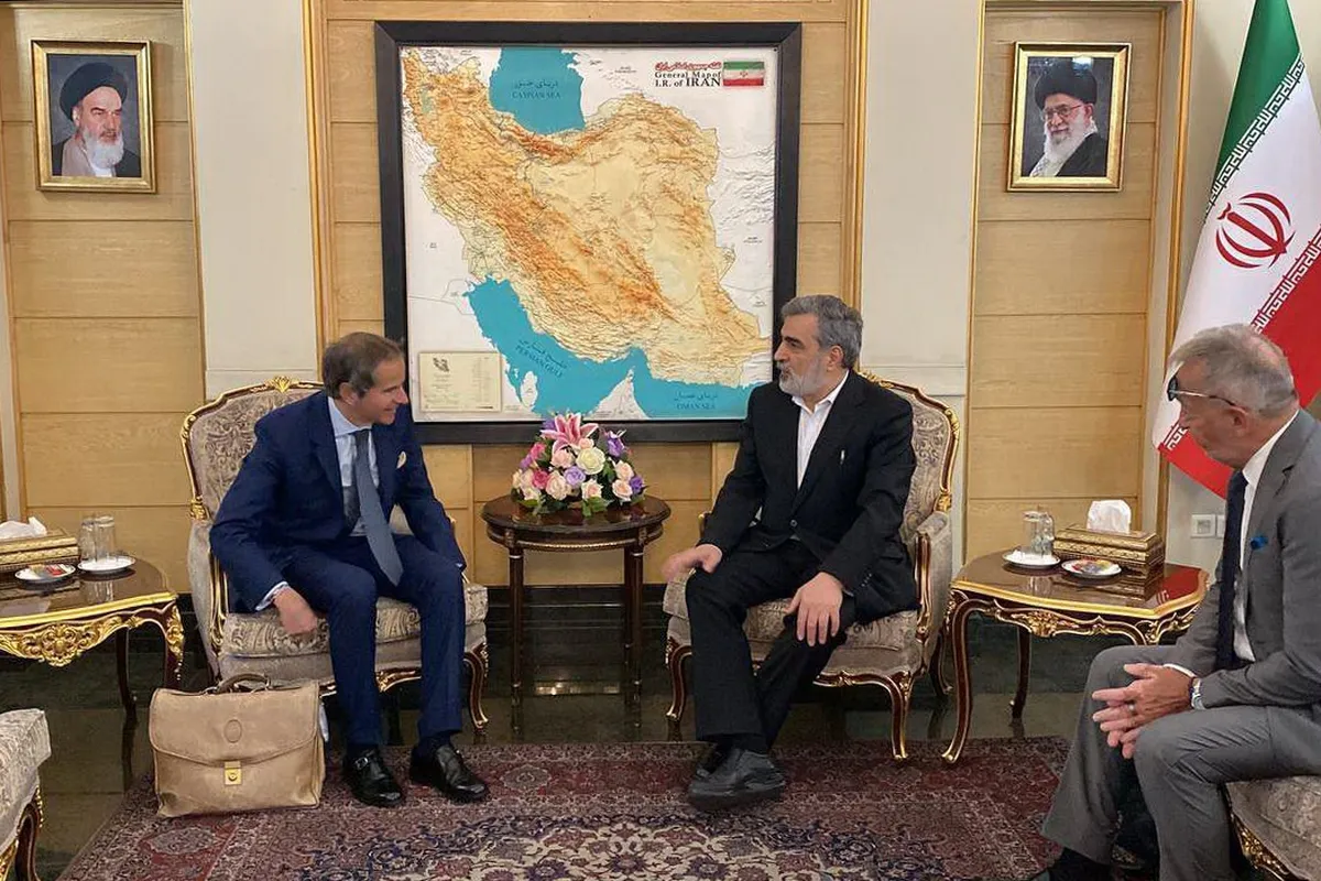 گروسی وارد تهران شد