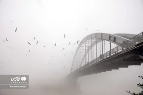 ایران زیباست | اهواز در مه