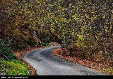 ایران زیباست | پاییز در ارسباران