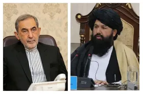 وزیر تحصیلات عالی افغانستان به دیدار علی&zwnj;اکبر ولایتی رفت