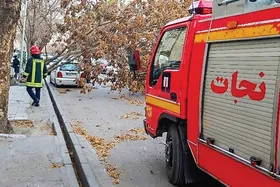 ۷۵ حادثه طوفانی در مشهد در پی وزش باد با سرعت ۶۵ کیلومتر