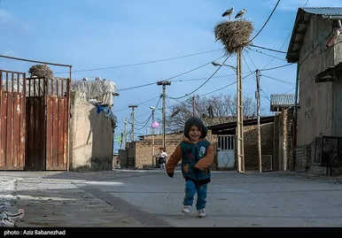 ایران زیباست | همزیستی لک لک‌ها در روستای کپر جودکی بروجرد با مردم روستا