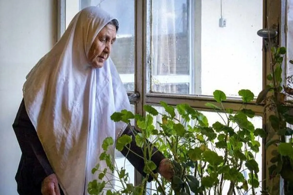 بررسی ارتباط میان زوال مغز در زنان و تنها زندگی کردن آنها