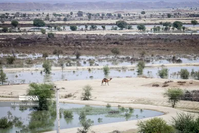 سیلِ سیستان