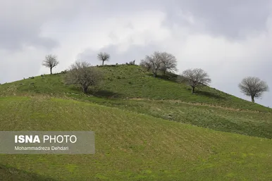 ایران زیباست | زمستان بَهاری در فارس