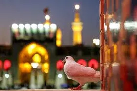 کرامت انسانی؛ مرز اخلاقی رسانه از نگاه امام رضا (ع)