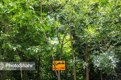 طبیعت «کلاته آهن»، روستایی زیبا در حوالی مشهد