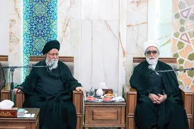 تأکید تولیت آستان قدس رضوی بر خدمت&zwnj;رسانی شایسته به زائران | مسئولان استان خود را کارگزار امام رضا(ع) بدانند