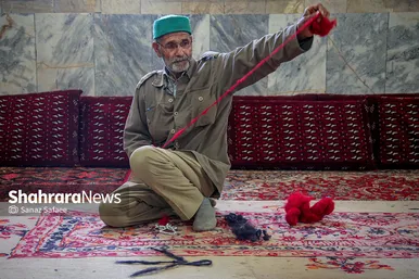 «سرغایه» قطب نمدمالی خراسان