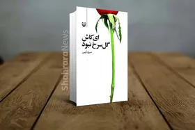 نگاهی کوتاه به کتاب &laquo;ای کاش گل سرخ نبود&raquo;